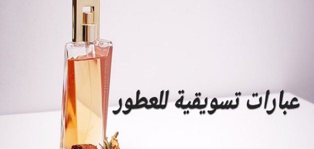 56 عبارات تسويقية للعطور ملفتة للتسويق عبارات تسويقية للعطور