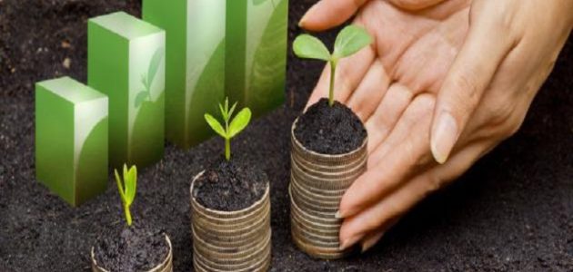 دور النزاع البناء في تطوير المجتمعات النامية دور النزاع البناء في تطوير المجتمعات النامية