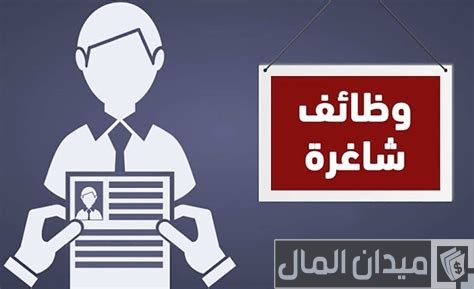 وظائف محاضرين في الجامعات السعودية لغير السعوديين 2024 وظائف محاضرين في الجامعات السعودية لغير السعوديين
