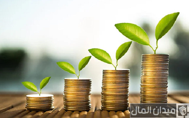 استثمار مبلغ بسيط بطرق مختلفة استثمار مبلغ بسيط بطرق مختلفة