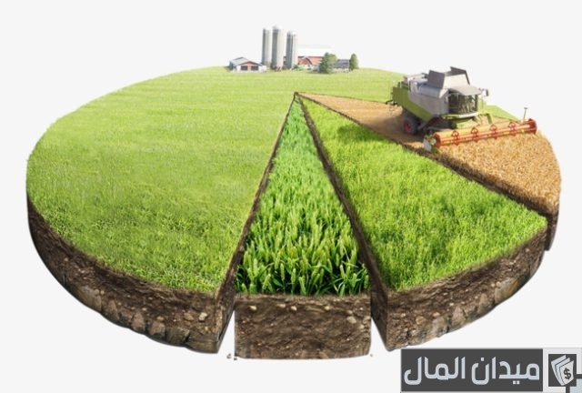 كيفية تقسيم أرض على الشياع كيفية تقسيم أرض على الشياع
