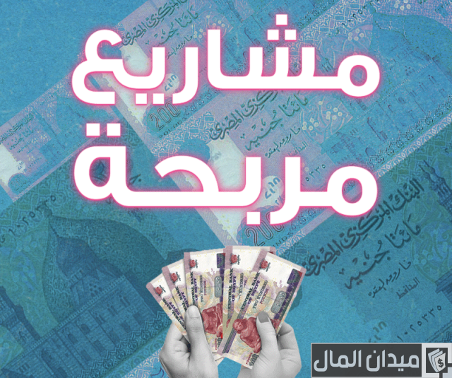 مشروع برأس مال 100 الف جنية مشروع برأس مال 100 الف جنية
