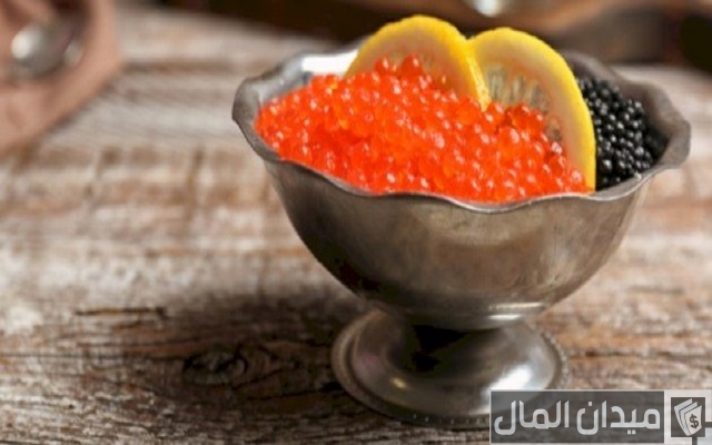 أشهر أنواع الكافيار أشهر أنواع الكافيار