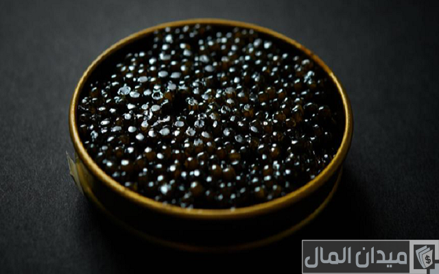 أشهر أنواع الكافيار أشهر أنواع الكافيار