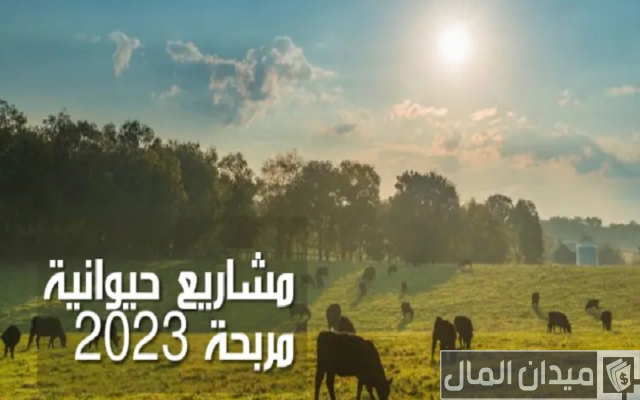 أفضل 5 أفكار لمشاريع الإنتاج الحيواني مربحة أفضل 5 أفكار لمشاريع الإنتاج الحيواني مربحة