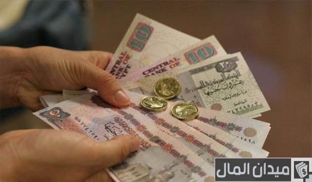 أفكار مشروع برأس مال 5000 جنيه أفكار مشروع برأس مال 5000 جنيه
