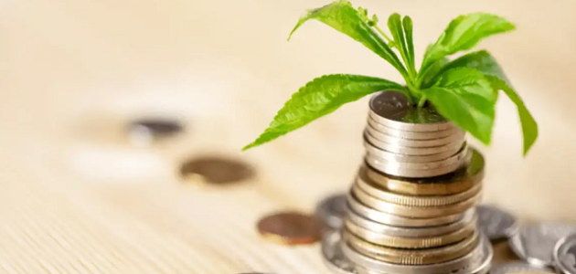 أفكار مشروعات صغيرة ناجحة مربحة بالمنزل أفكار مشروعات صغيرة مربحة بالمنزل