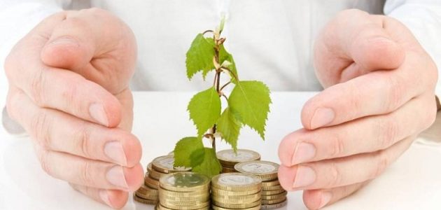 أكثر المشاريع ربحًا في الأردن مضمون نجاحها أكثر المشاريع ربحًا في الأردن