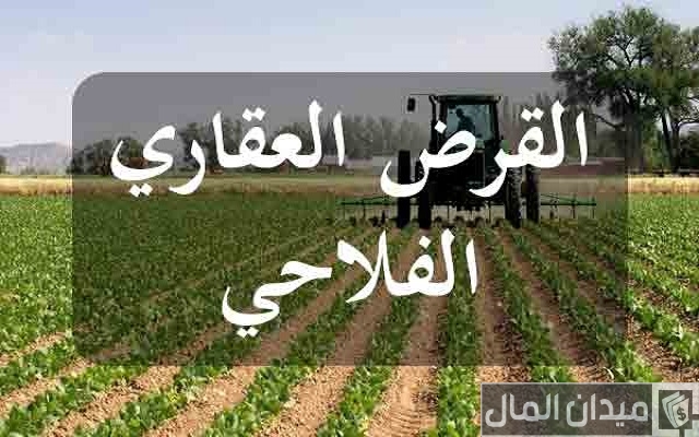 الوثائق المطلوبة للحصول على قرض من القرض الفلاحي الوثائق المطلوبة للحصول على قرض من القرض الفلاحي