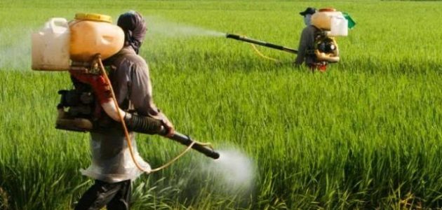 دليل المبيدات الزراعية المسجلة في مصر دليل المبيدات الزراعية المسجلة في مصر