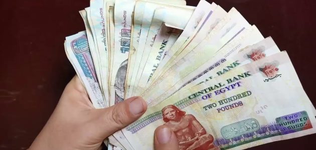 مشروع برأس مال 100 الف جنية ناجح ومضمون مشروع برأس مال 100 الف جنية