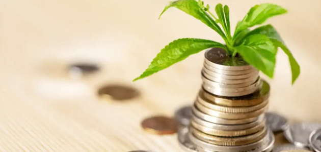 كيف تبدأ مشروع بمبلغ بسيط ومضمون نجاحة كيف تبدأ مشروع بمبلغ بسيط