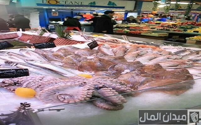 مجموعة متميزة لـ مشاريع برأس مال صغير وربح كبير مجموعة متميزة لـ مشاريع برأس مال صغير وربح كبير