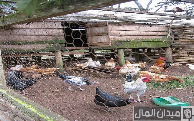 مشاريع من المنزل تنفذ بأقل التكلفة وأرباحها هائلة مشاريع من المنزل تنفذ بأقل التكلفة وأرباحها هائلة