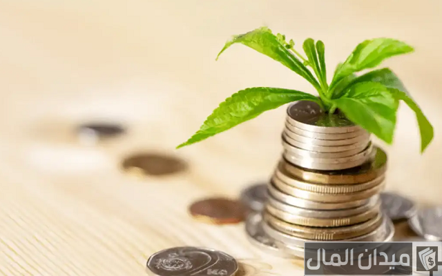 مشروع برأس مال 500000 جنيه مشروع برأس مال 500000 جنيه