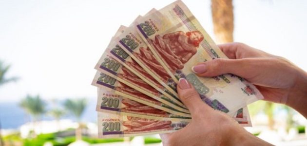 أحسن مشروع برأس مال 500000 جنيه ( نص مليون ) مضمون مشروع برأس مال 500000 جنيه