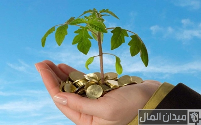 فوائد 1000 جنيه في البنك في الشهر فوائد 1000 جنيه في البنك في الشهر
