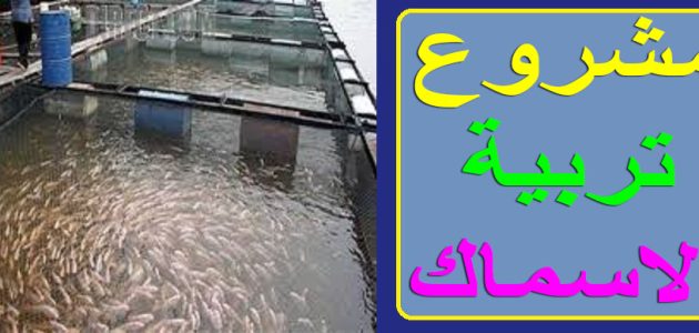 دراسة جدوى تربية الاسماك على الأسطح دراسة جدوى تربية السمك على الأسطح