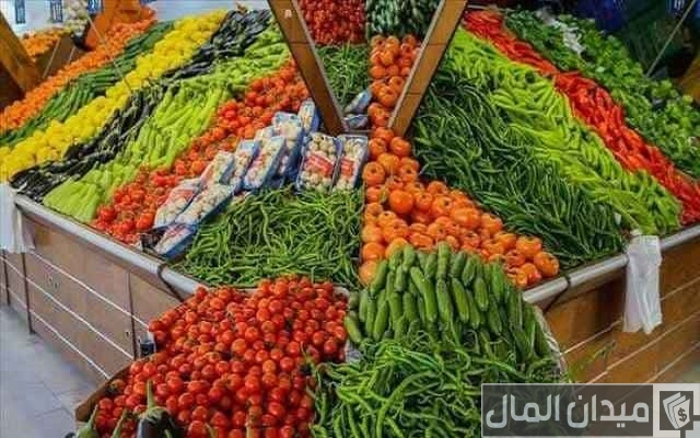مشروع محل خضار بالمغرب مشروع محل خضار بالمغرب