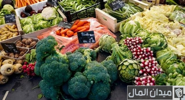 كيف اطلع رخصة محل خضار؟ كيف اطلع رخصة محل خضار؟