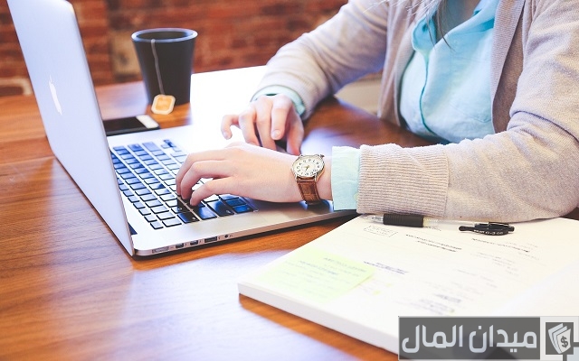 عيوب شركة الشخص الواحد عيوب شركة الشخص الواحد