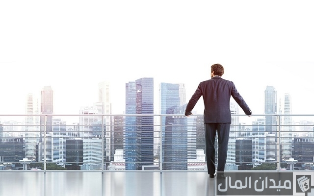 عيوب شركة الشخص الواحد عيوب شركة الشخص الواحد