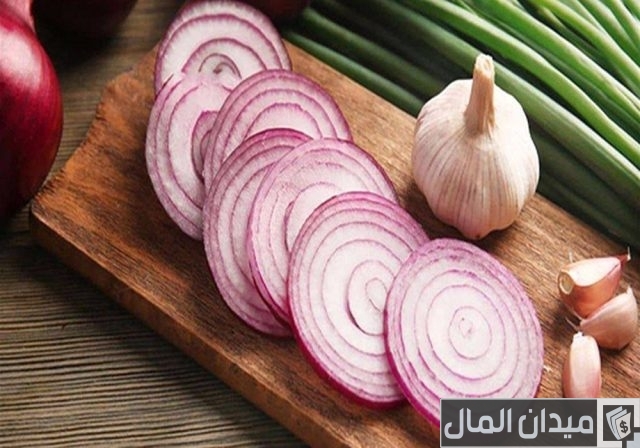 مواعيد زراعة البصل والثوم في مصر مواعيد زراعة البصل والثوم في مصر