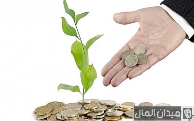 ترتيب شركات التمويل متناهي الصغر في مصر ترتيب شركات التمويل متناهي الصغر في مصر
