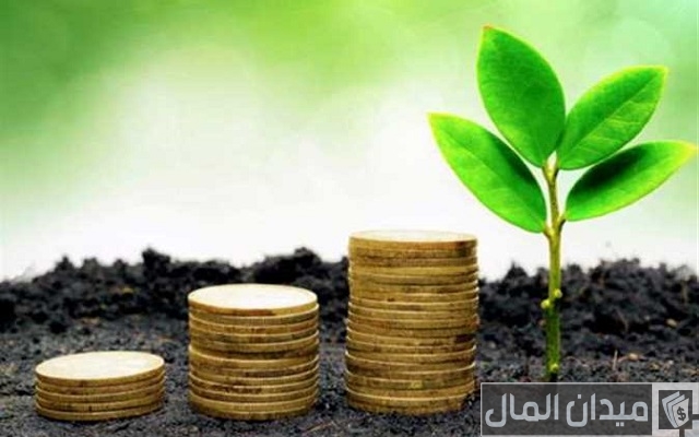 ترتيب شركات التمويل متناهي الصغر في مصر ترتيب شركات التمويل متناهي الصغر في مصر