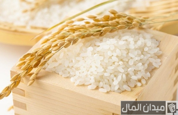 أفضل أنواع الأرز بالصور أفضل أنواع الأرز بالصور