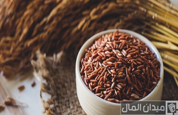 أفضل أنواع الأرز بالصور أفضل أنواع الأرز بالصور