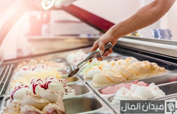 دراسة جدوي محل ايس كريم دراسة جدوي محل ايس كريم