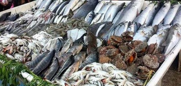 أسعار السمك اليوم الاحد 21-4-2024 في مصر أسعار السمك اليوم 20-4-2024 في مصر
