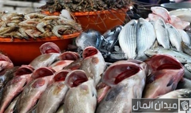 أسعار السمك اليوم 20-4-2024 في مصر أسعار السمك اليوم 20-4-2024 في مصر