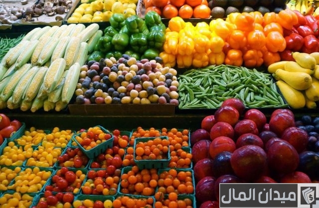 كيفية تصدير الخضار والفاكهة للخارج كيفية تصدير الخضار والفاكهة للخارج