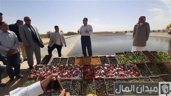 «تصديرى الحاصلات» يطلق مبادرة لدعم تعاقد المزارعين مع شركات الإنتاج والتصدير «تصديرى الحاصلات» يطلق مبادرة لدعم تعاقد المزارعين مع شركات الإنتاج والتصدير