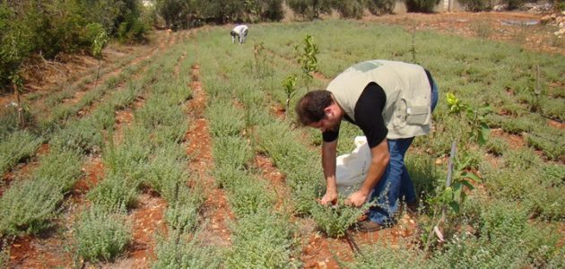 «المجلس التصديري للحاصلات الزراعية» يطلق مبادرة لدعم تعاقد المزارعين مع شركات التصدير للخارج «تصديرى الحاصلات» يطلق مبادرة لدعم تعاقد المزارعين مع شركات الإنتاج والتصدير