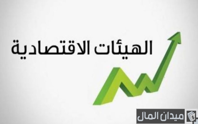« المالية»: لجنة وزارية عليا تدرس أوضاع الهيئات الاقتصادية « المالية»: لجنة وزارية عليا تدرس أوضاع الهيئات الاقتصادية