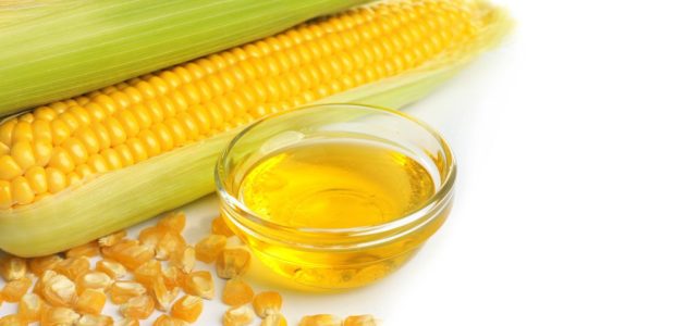 كم ينتج طن الذرة من الزيت وسعر طن الذرة كم ينتج طن الذرة من الزيت