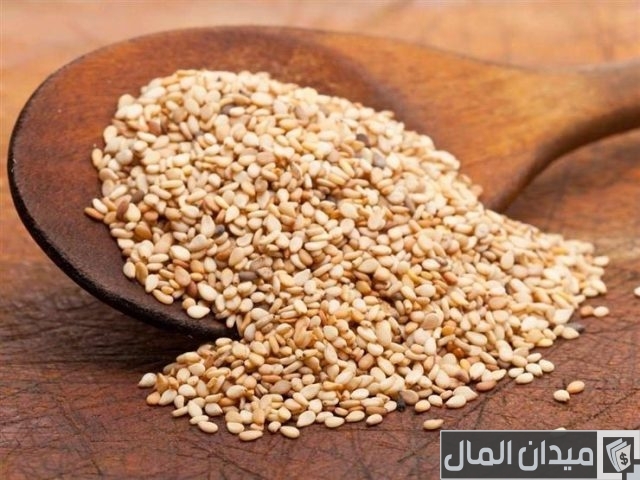 مشروع تجارة السمسم مشروع تجارة السمسم