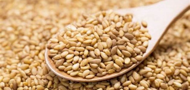 دراسة جدوى مشروع تجارة السمسم وأرباح المشروع مشروع تجارة السمسم