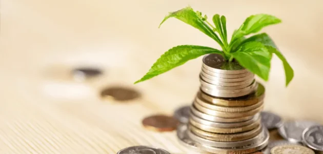 فكرة مشروع مربح جدا برأس مال 10000 ريال مشروع مربح جدا برأس مال 10000