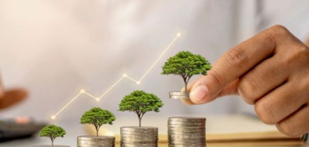 خطوات حساب معدل العائد على رأس المال معدل العائد على رأس المال