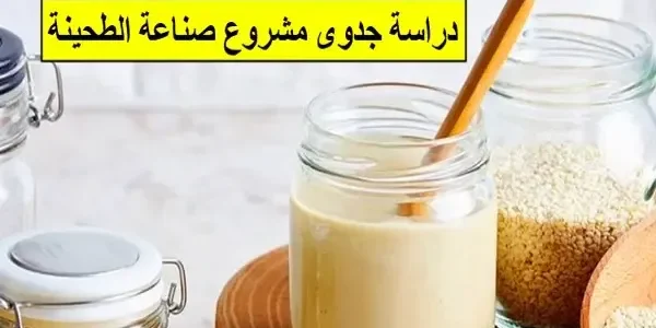 دراسة جدوى مشروع صناعة وتعبئة وبيع الطحينة دراسة جدوى مشروع صناعة الطحينة