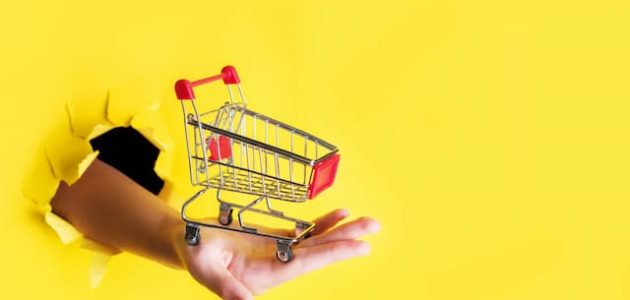 فكرة مشروع برأس مال 10 الاف 10000 جنيه مشروع يبدأ ب 10000 جنيه