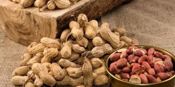 قائمة أكثر دول العالم إنتاجًا للفول السوداني أكثر دول العالم إنتاجًا للفول السوداني