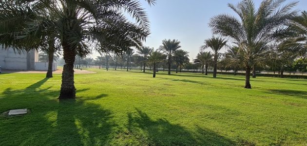 مواعيد عمل حديقة الراشدية عجمان وأسعار التذاكر 2025 الدليل الكامل حديقة الراشدية عجمان