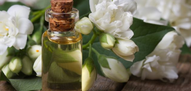 خطوات صنع عطر الياسمين في المنزل صنع عطر الياسمين في المنزل
