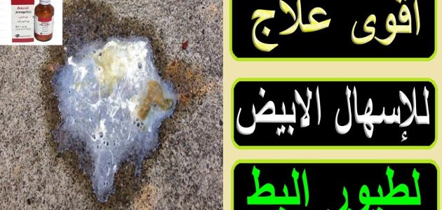 علاج الإسهال الابيض عند البط بالاعشاب والادوية علاج الإسهال الأبيض عند البط
