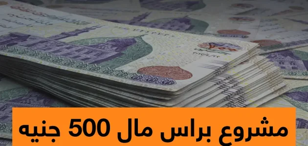 فكرة مشروع برأس مال 500 جنيه مشروع برأس مال 500 جنيه